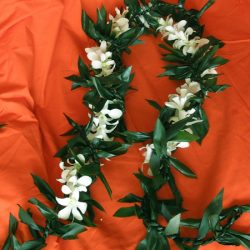 maile style ti leaf lei with white orchids