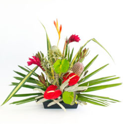 red and green Hawaiian Christmas arrangement