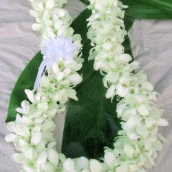 Hawaiian wedding leis white
