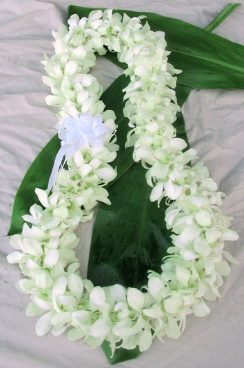 Fresh Orchid Leis Hand Made In Hawaii With Dendrobium Orchids