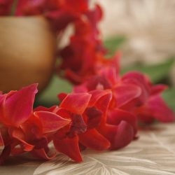 color orchid leis red