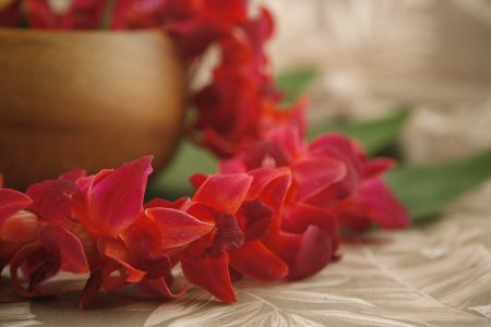 color orchid leis red