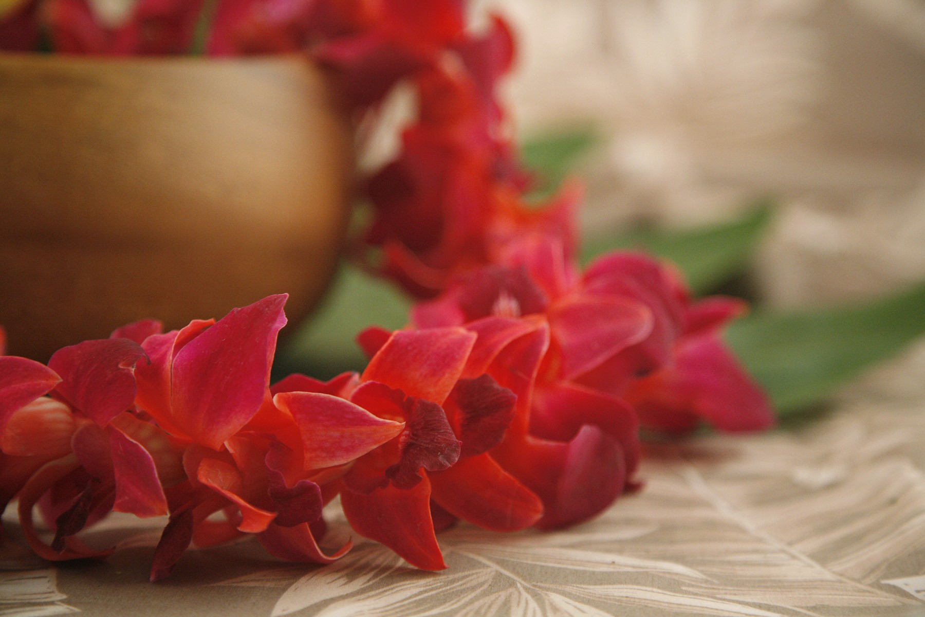 Infused Color Orchid Leis from Hawaii - natural flowers infused with color