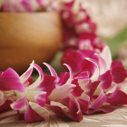 bulk leis Hawaiian wholesale