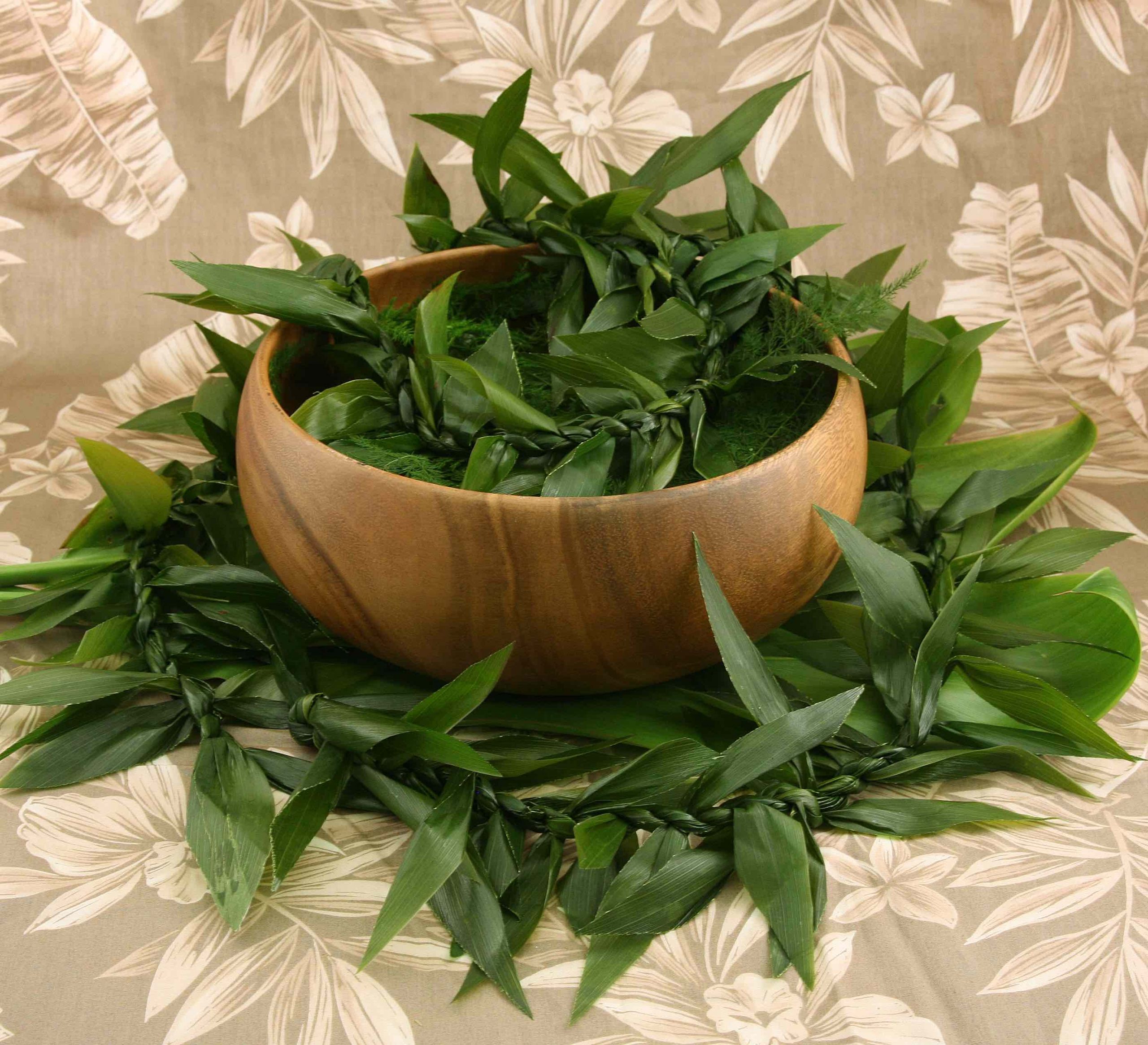 Hawaiian Leaf Giant POTTED Fully ROOTED 6 Foot Tall Golden Pothos